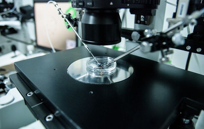 Лечите бесплодие за государственный счет: как сделать бесплатное ЭКО в Институте репродуктивной медицины Дахно