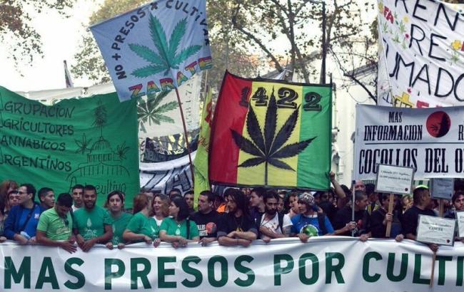 Парламент Аргентины легализовал использование марихуаны в медицинских целях