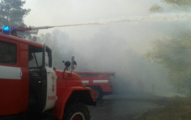 В Полтавской области из-за лесного пожара частично ограничено движение транспорта