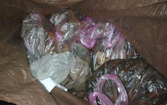 В Ровенской обл. правоохранители изъяли почти 55 кг янтаря на 1,8 млн грн