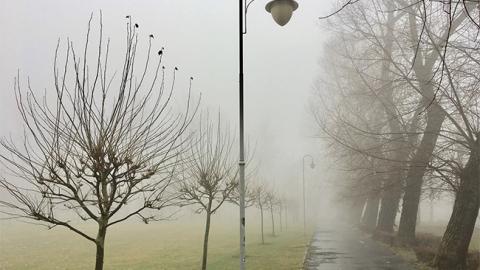 У Польщі сильний смог, вміст пилу в повітрі понад 900%