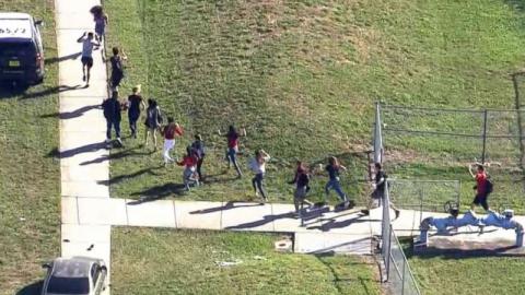 Стрілянина в школі у Флориді: слідство спростувало зв'язок затриманого з націоналістами