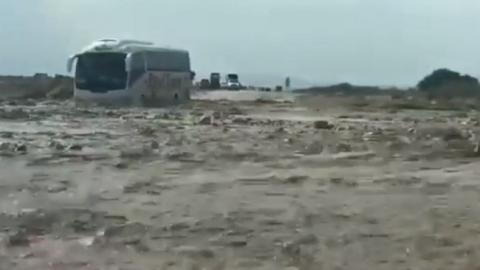 В Ізраїлі від повені врятували 50 українських туристів