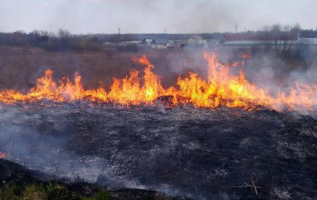Рятувальники повідомляють про високу пожежну небезпеку в Україні