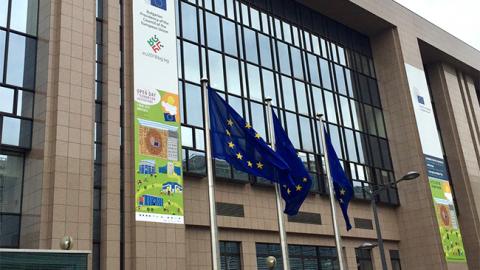 ЄС починає переговори про ЗВТ з Австралією та Новою Зеландією