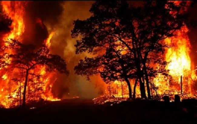 У Херсонській області гасять масштабну пожежу