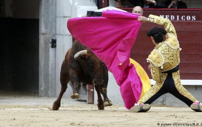 В Испании тысячи людей вышли на митинг против корриды