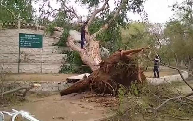В результаті шторму в Індії загинули 46 людей