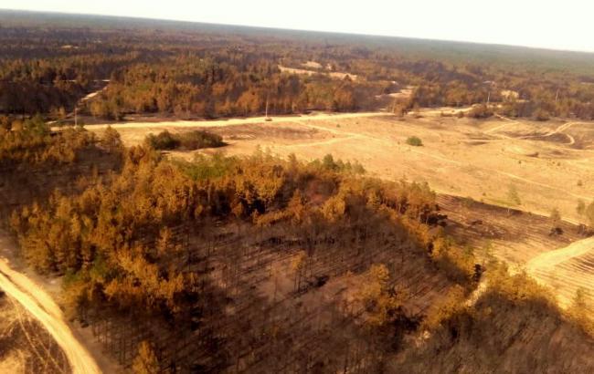 Лесной пожар в Херсонской области локализован