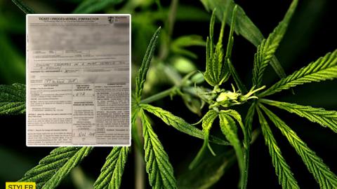 Жителю Канади виписали штраф за неправильне куріння канабісу