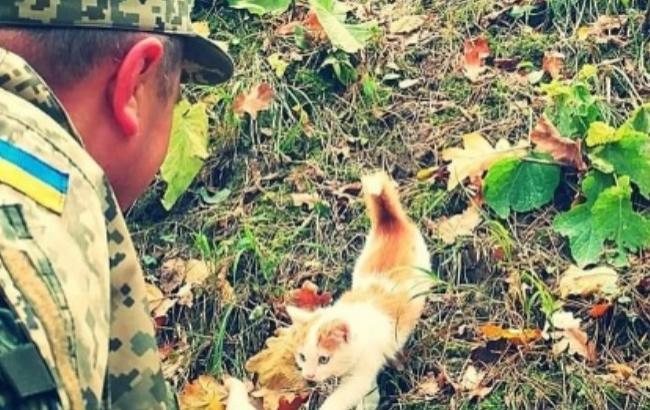Сеть умилили трогательные животные на Донбассе