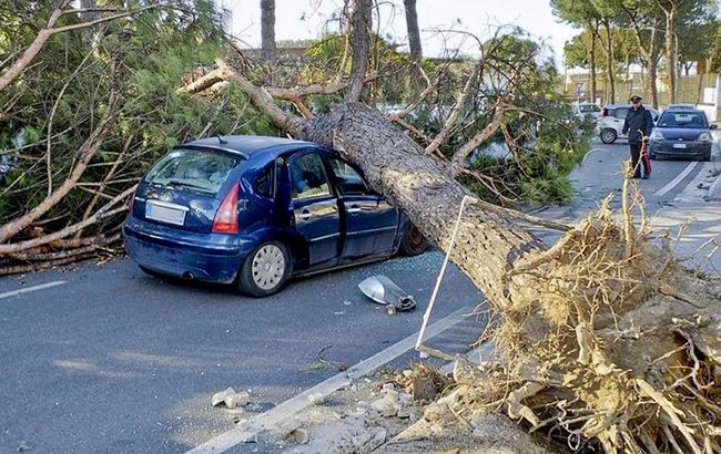 В результате урагана в Италии погибли 3 человека
