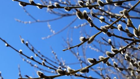 Синоптики порадовали украинцем прогнозом на сегодня