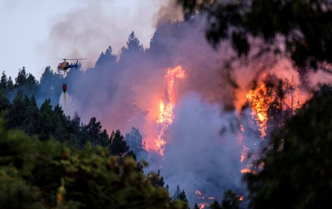 На Канарських островах евакуювали 9 тис. осіб через лісові пожежі