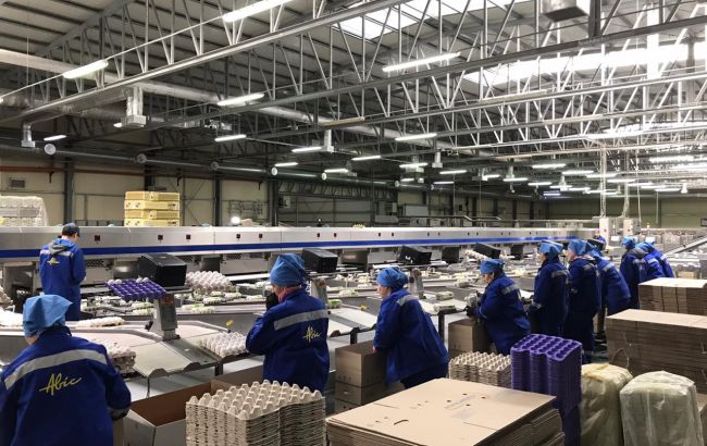 Агрохолдинг "Авангард": ми здивовані підозрами, що дві наші фабрики не існують