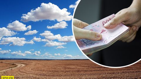 В Украине открыли рынок земли: кто сможет получить бесплатно