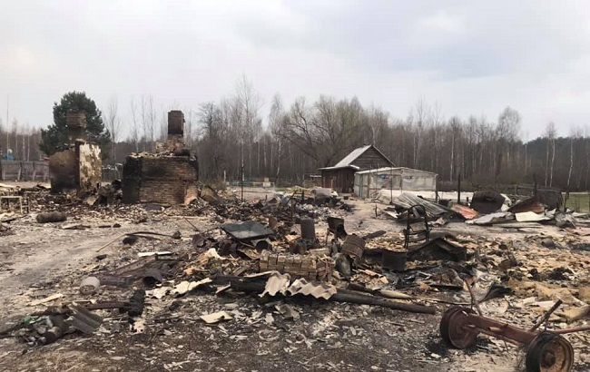 Под Житомиром показали выжженные села после пожара: фото и видео