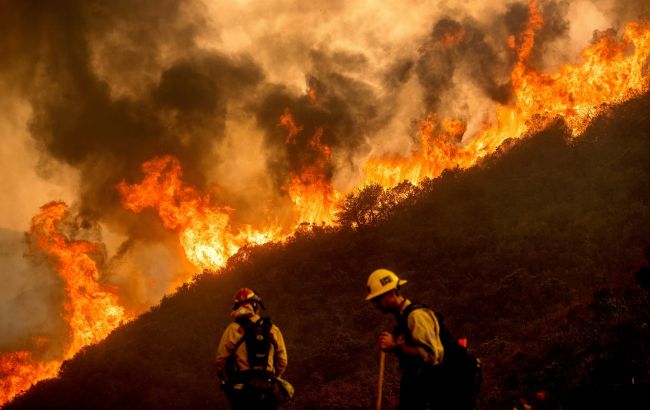 Каліфорнію охопили лісові пожежі. Влада просить допомоги у Канади та Австралії