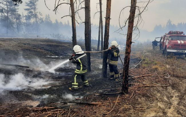 Площа пожеж в Луганській області перевищила 20 тисяч гектарів