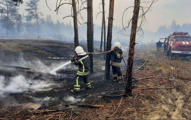 На пожарах в Луганской области обнаружили останки трех человек