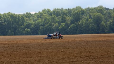 Открытие рынка земли с 1 июля: мнение украинцев