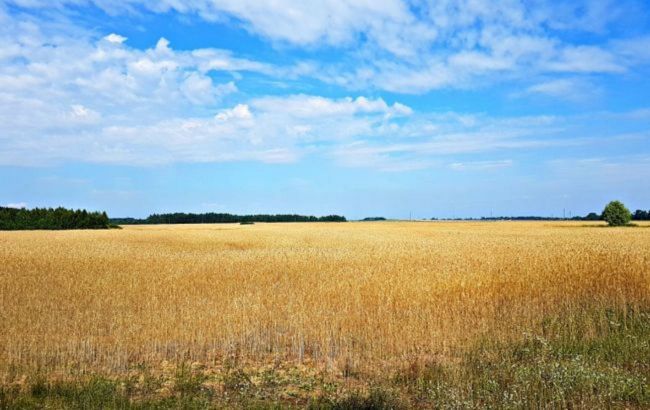 В Україні зареєстровано майже 2 тисячі земельні угоди: в якій області продали найбільше