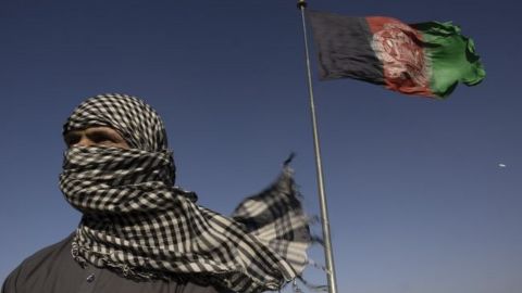 Талибы заявили, что Афганистан больше не будет центром производства наркотиков