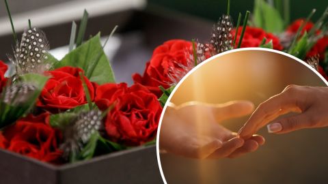 Романтичний стоматолог і зухвалий офіціант: стали відомі імена нових учасників шоу Холостячка 2