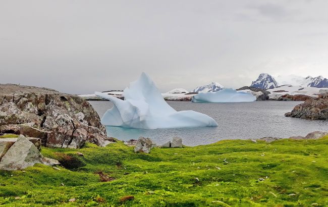Почти 13 градусов тепла: в Антарктиде обновлен температурный рекорд