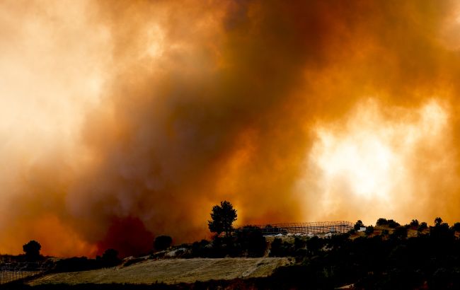 У Туреччині знову спалахнули масштабні лісові пожежі