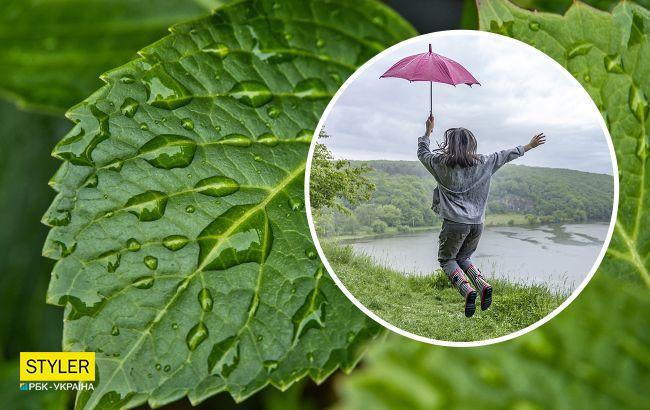 В Україні похолодає і пройдуть грозові дощі: новий прогноз на сьогодні