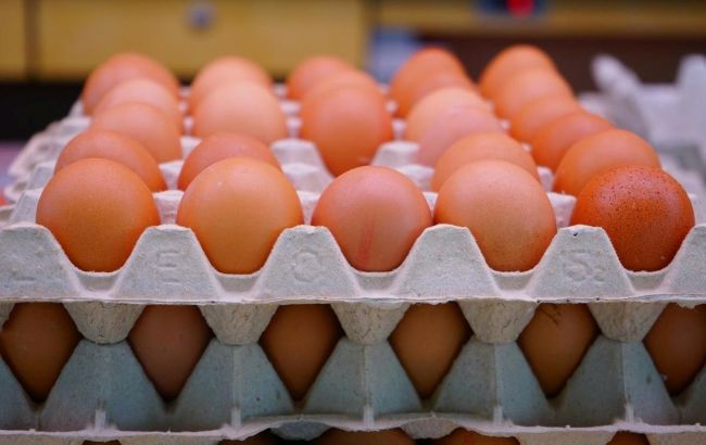 Чому в Україні подорожчали яйця та чи варто очікувати здешевлення: прогноз аналітика