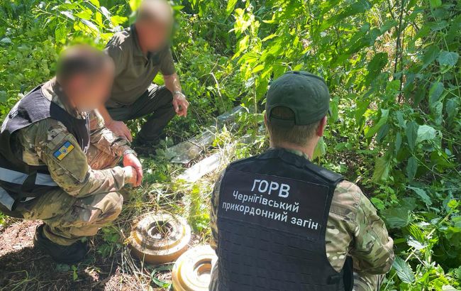 У Чернігівській області виявили схрон з російською зброєю