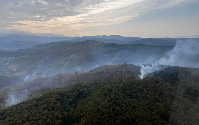 На Закарпатті спалахнула масштабна лісова пожежа: для гасіння залучили авіацію