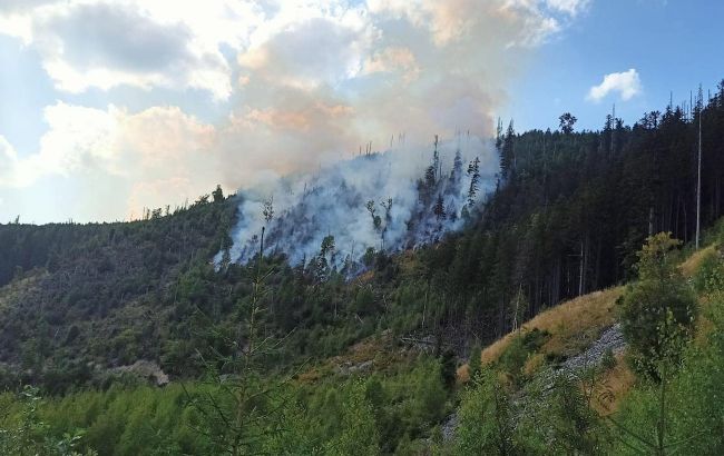 В Івано-Франківській області спалахнула масштабна лісова пожежа