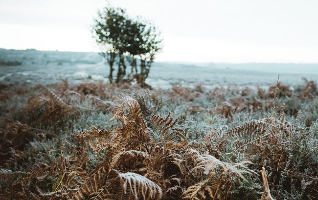 Туман и ночные заморозки: прогноз погоды на сегодня