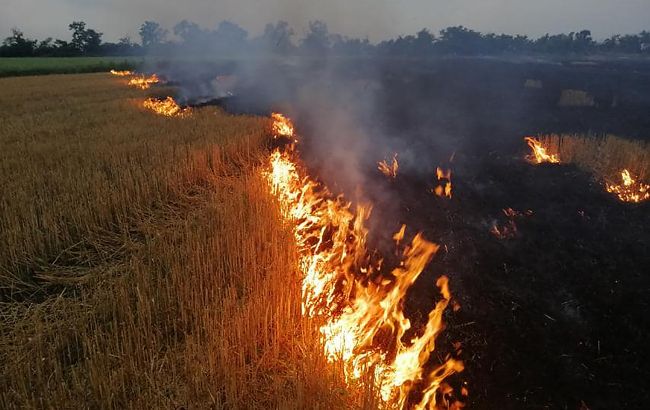 Жителей большинства областей Украины предупредили о высокой угрозе пожаров