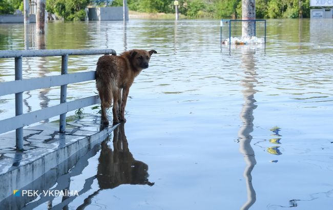 В Николаеве и области уровень воды превысил исторический максимум