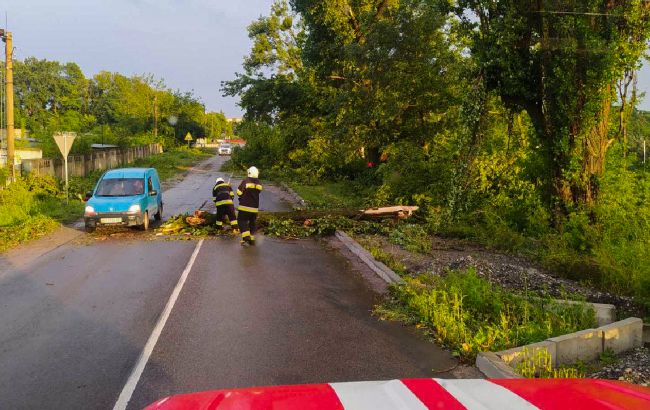 Повалені дерева та пошкоджені будинки. Частину України накрив буревій (фото)