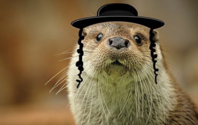 Марк Цукерберк відвідає Україну