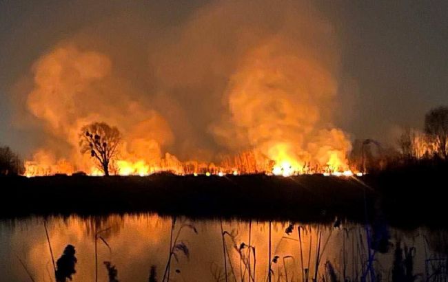 У Києві під час масштабної пожежі на Осокорках вигоріло три гектари території