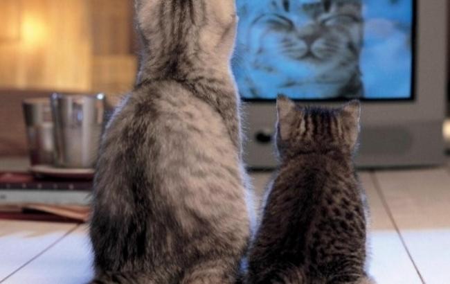 У трьох містах Донецької обл. поновили мовлення українські телеканали