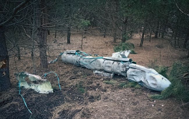 В лесу Сумской области нашли ракету Х-59. Полиция показала видео ее уничтожения