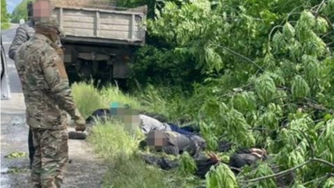 Збиток на десятки мільйонів. У нацпарку "Подільські Товтри" припинили вирубку дерев