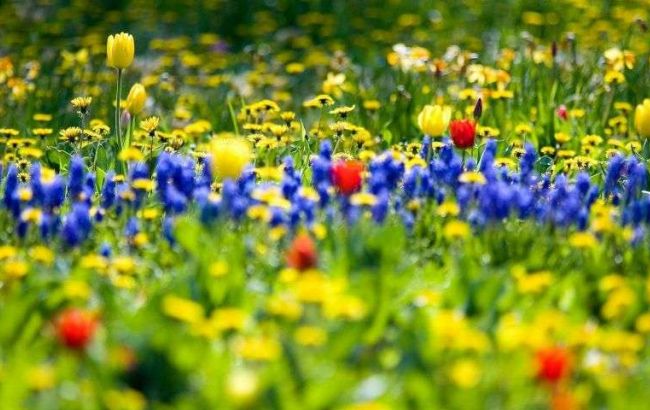 У світі сьогодні відзначають День праці