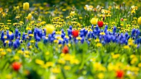 Праздник 1 мая: яркие и красивые открытки с поздравлениями