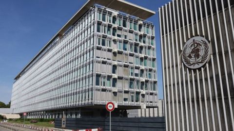 Уже 80 случаев. Обезьянью оспу выявили в 11 странах