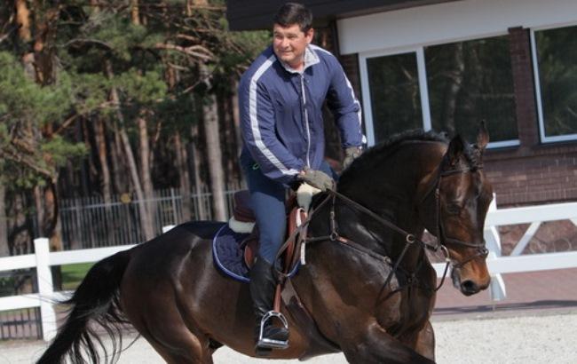 "Хорошо изучил бизнес": Онищенко в Лондоне ищет работу конным тренером