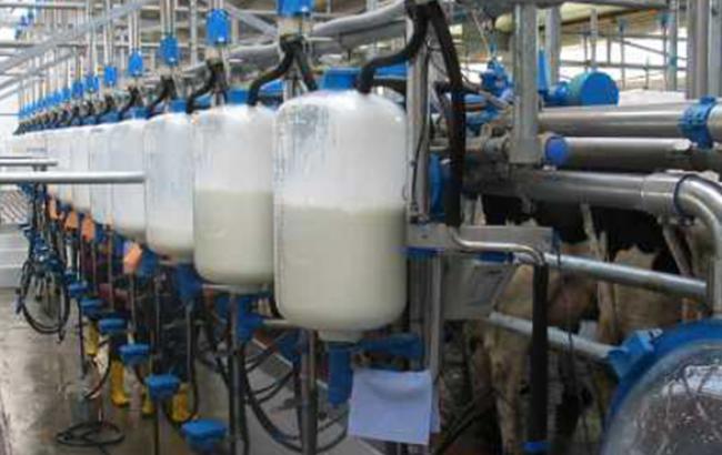 Україна сподівається поставляти свою молочку в Китай