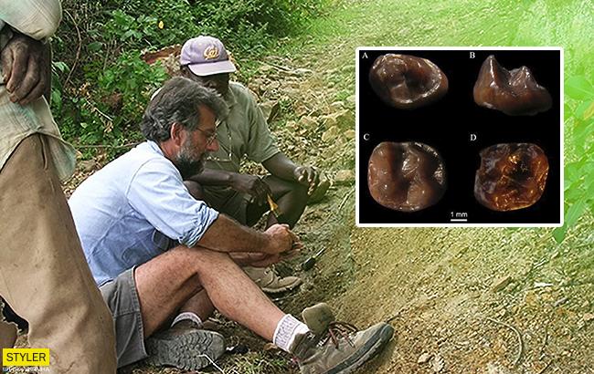 Палеонтологи нашли останки самой маленькой обезьяны